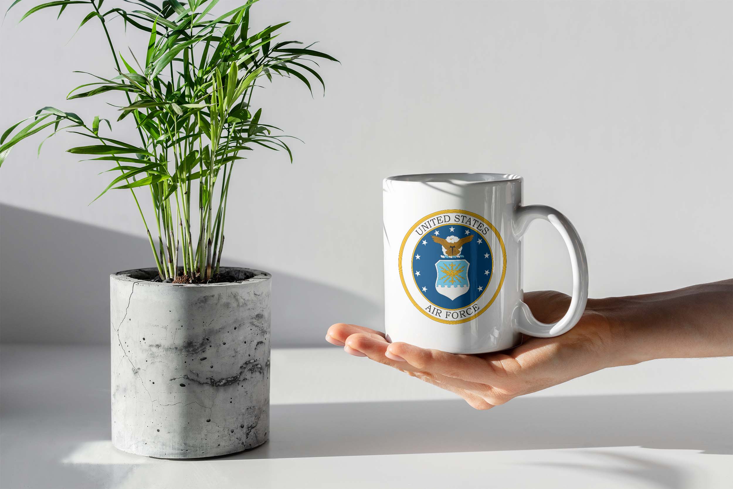 Air_Force_Mug_0206