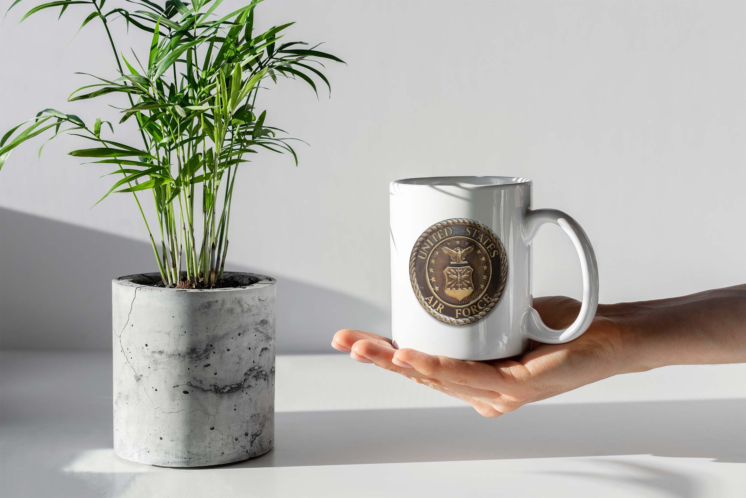 Air_Force_Mug_0406