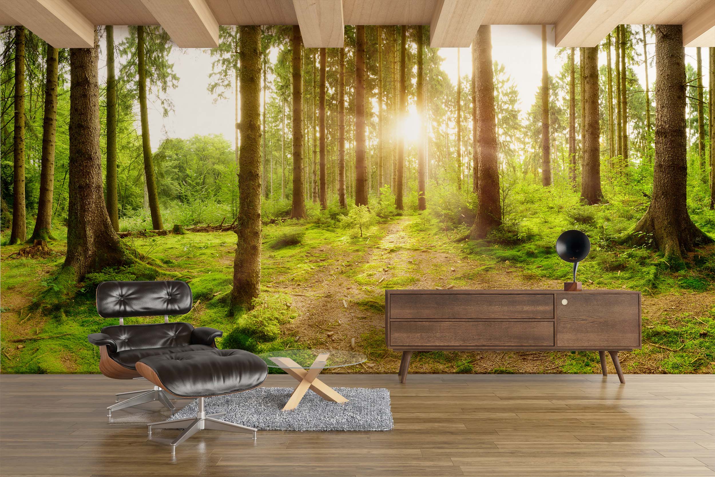 Beautiful forest panorama with bright sun shining through the trees_01