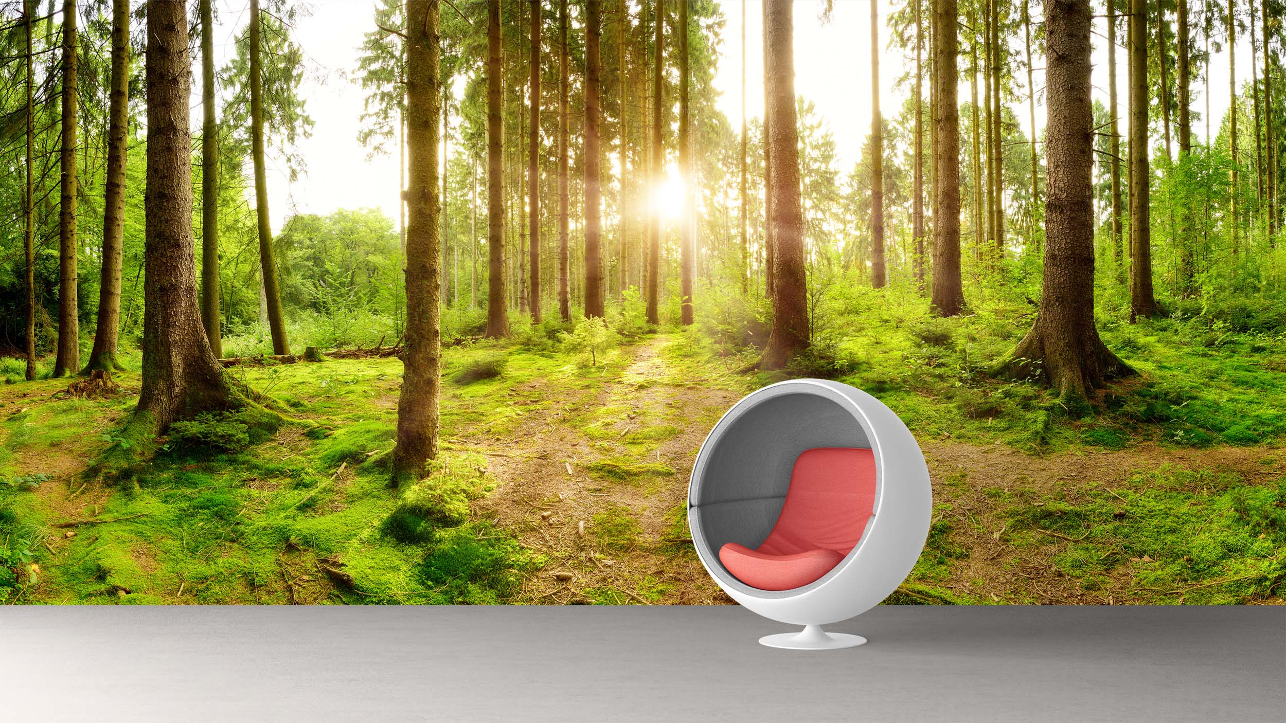 Beautiful forest panorama with bright sun shining through the trees_02
