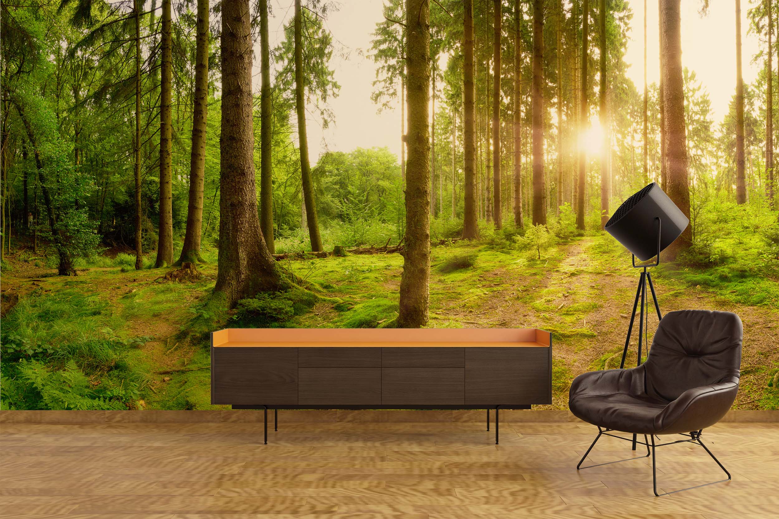 Beautiful forest panorama with bright sun shining through the trees_04